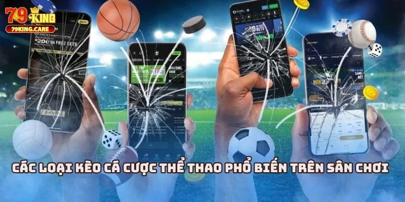 BTI Sports 79KING - Sảnh Thể Thao Đáng Trải Nghiệm 2025 2 Các bộ môn thể thao nổi bật tại BTI Sports 79KING