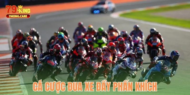 TP Sports 79KING - Sân Chơi Cá Cược Thể Thao Uy Tín Hàng Đầu 3 Cá cược đua xe đầy phấn khích