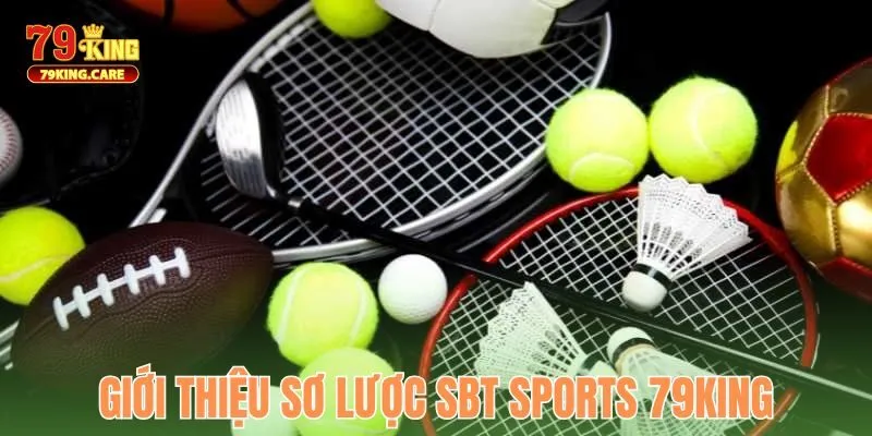 SBT Sports 79KING - Trải Nghiệm Cá Cược Thể Thao Đỉnh Cao 1 Giới thiệu sơ lược SBT Sports 79KING